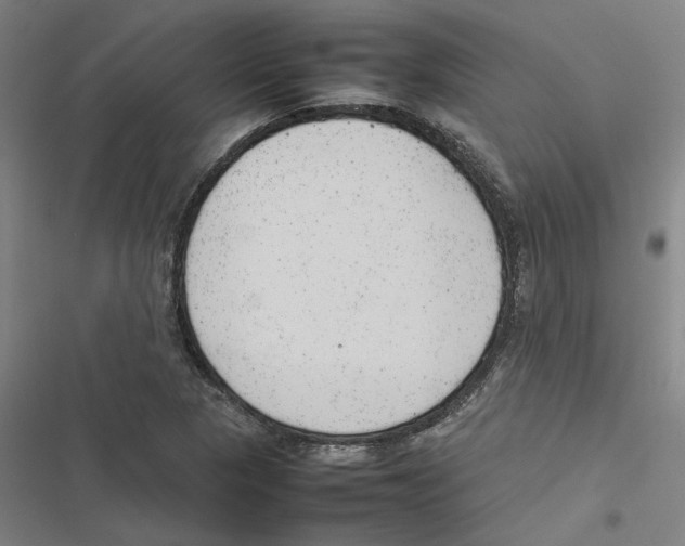 X0000116881313201001191735