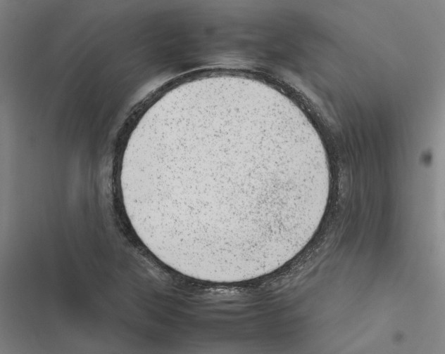 X0000116881315201001191735