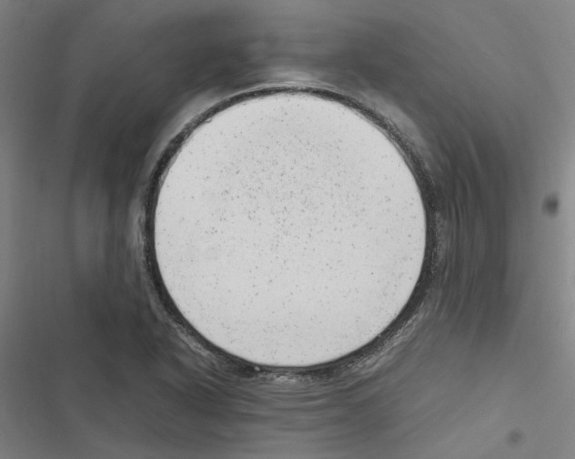 X0000116881318201001191736