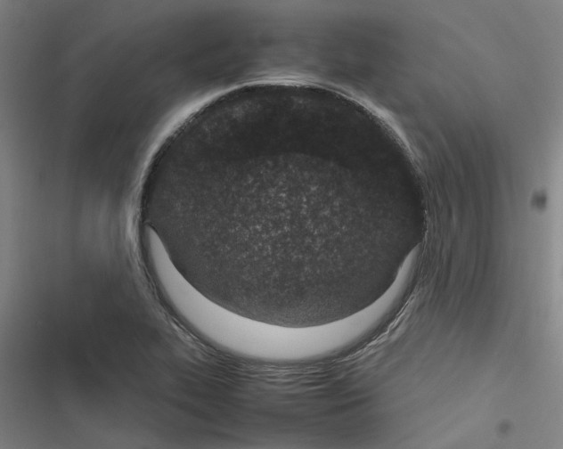 X0000116881319201001191736