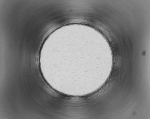 X0000116881322201001191736