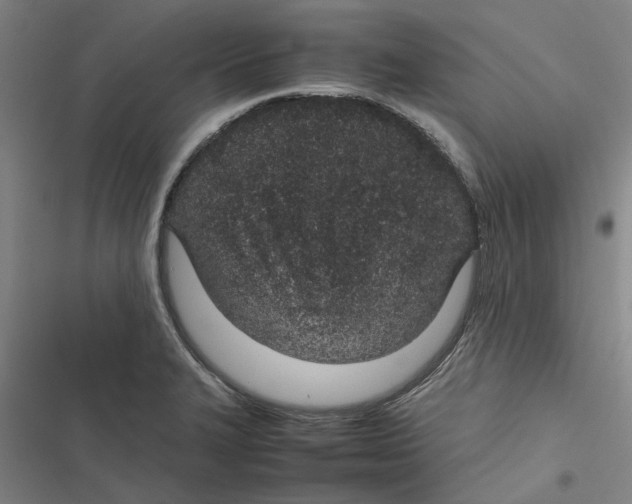 X0000116881327201001191736