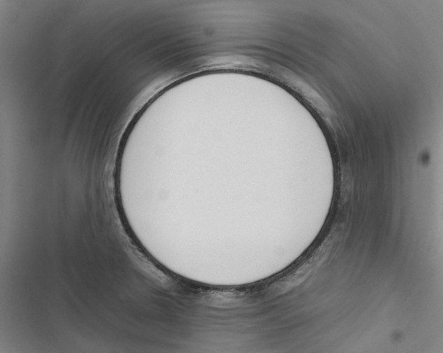 X0000116881330201001191736