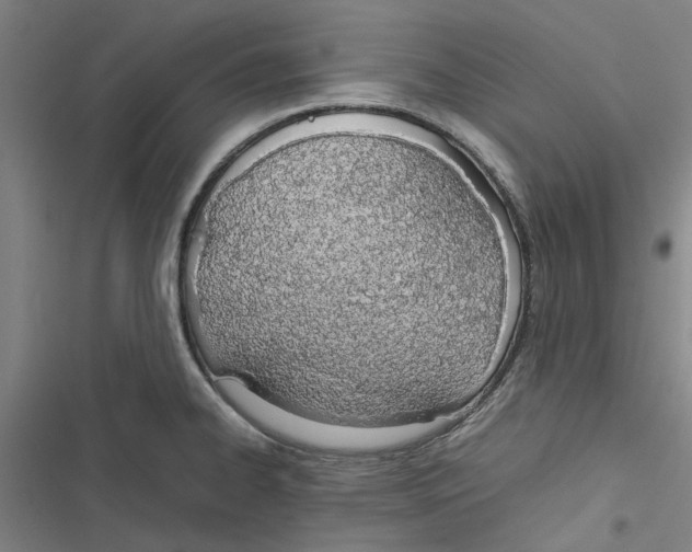 X0000116881334201001191736