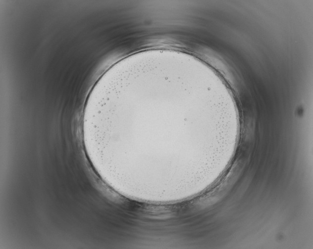 X0000116881338201001191736