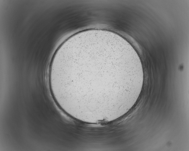 X0000116881343201001191736