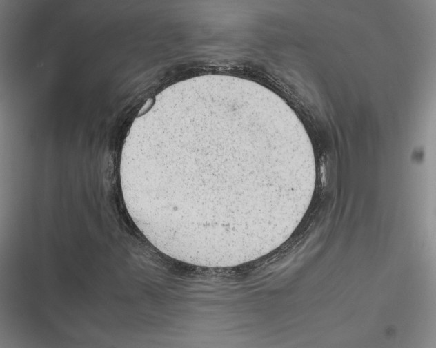 X0000116881347201001191735