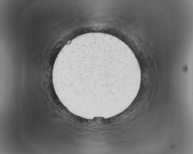 X0000116881349201001191735