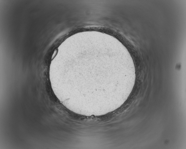 X0000116881351201001191735