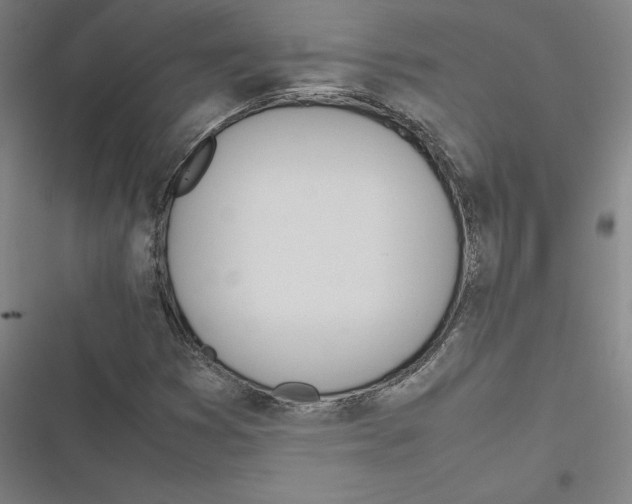 X0000116881353201001191735