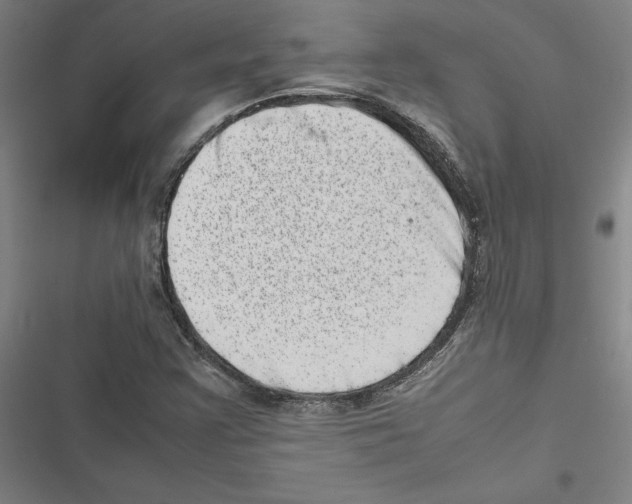 X0000116881355201001191735
