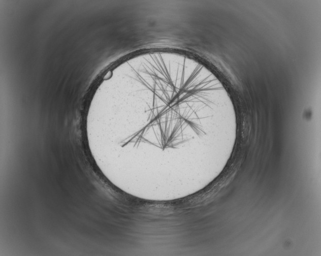 X0000116881356201001191735