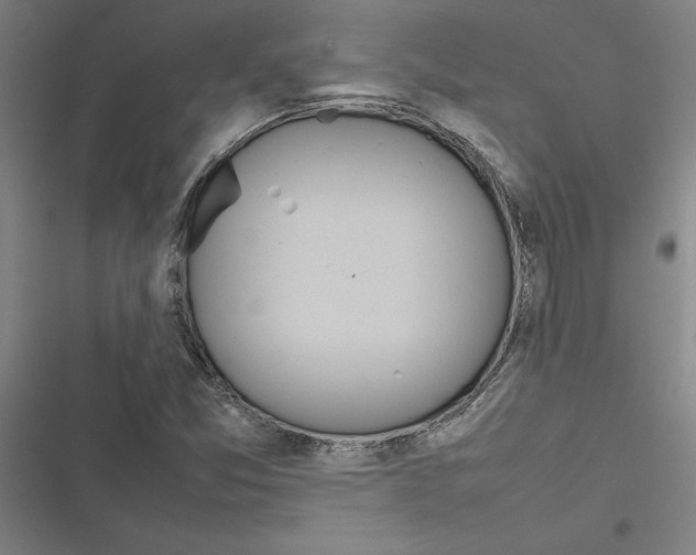 X0000116881357201001191735