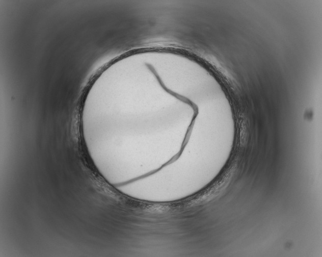 X0000116881358201001191735