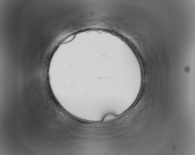 X0000116881359201001191735
