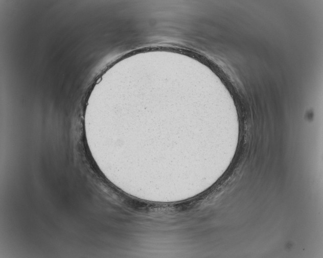 X0000116881363201001191735