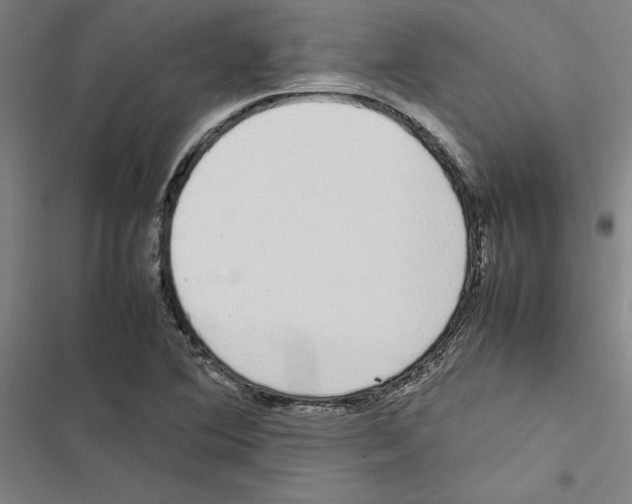 X0000116881364201001191735