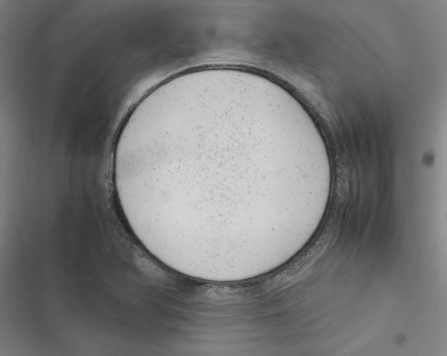 X0000116881366201001191735