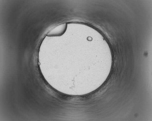 X0000116881367201001191735