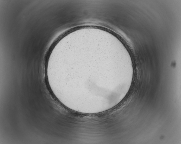 X0000116881368201001191735