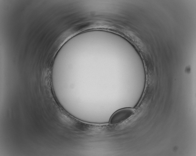 X0000116881369201001191735