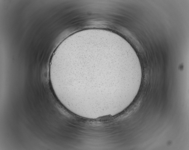 X0000116881370201001191735