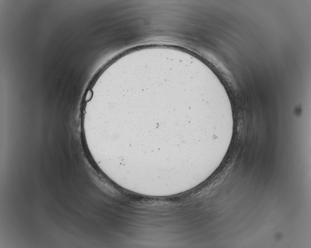 X0000116881372201001191735