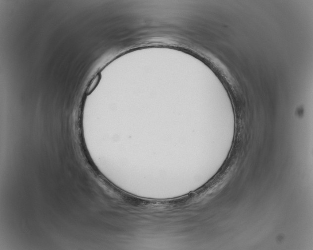 X0000116881373201001191735