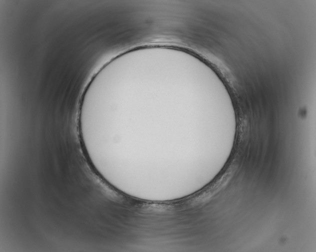 X0000116881374201001191735
