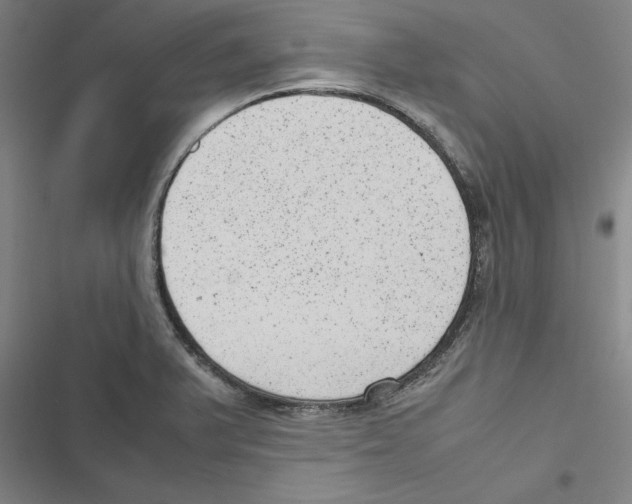 X0000116881375201001191735