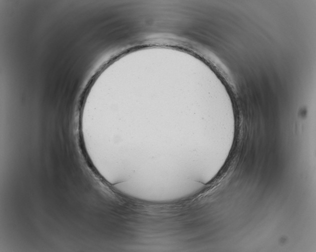 X0000116881376201001191735