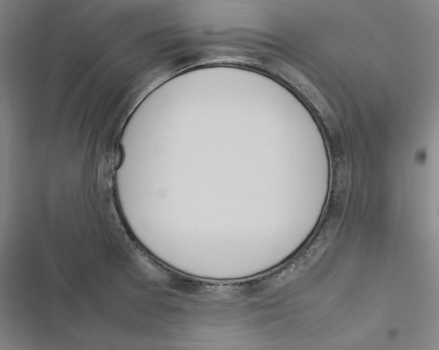 X0000116881377201001191735