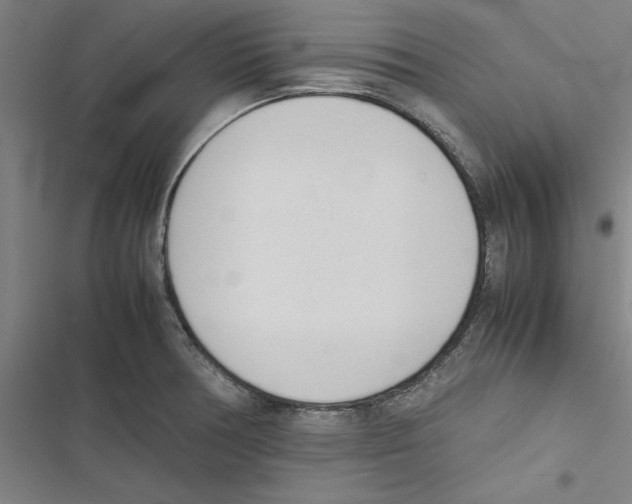 X0000116881378201001191735