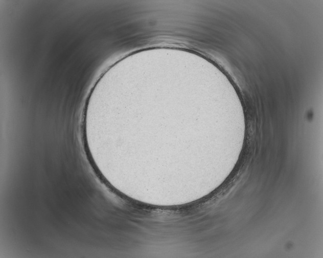X0000116881379201001191735