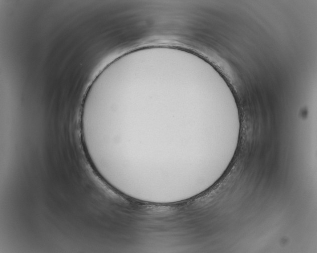 X0000116881382201001191735
