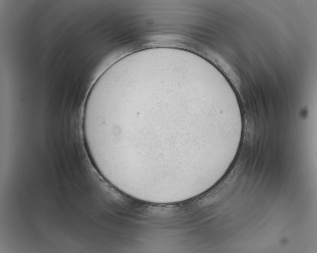 X0000116881386201001191735
