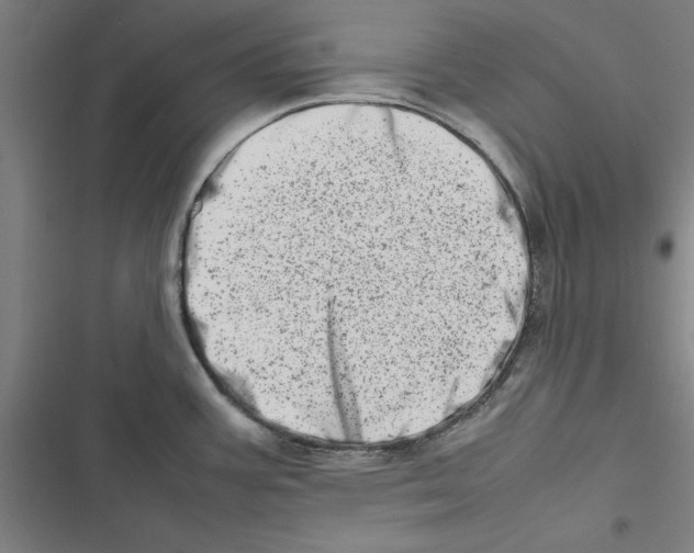 X0000116881387201001191735