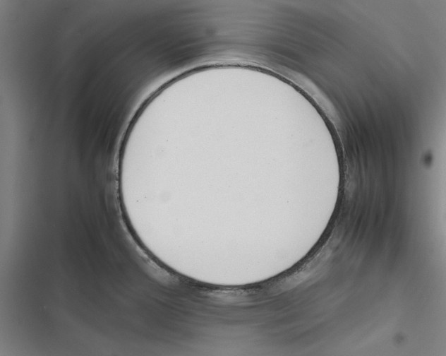 X0000116881388201001191735