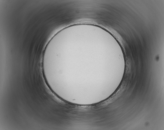 X0000116881390201001191735