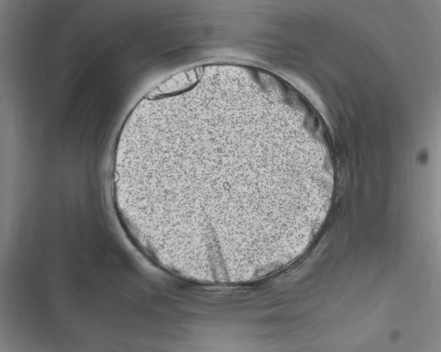 X0000116881391201001191735