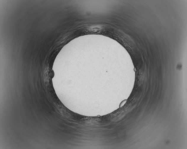 X0000116881394201001191734