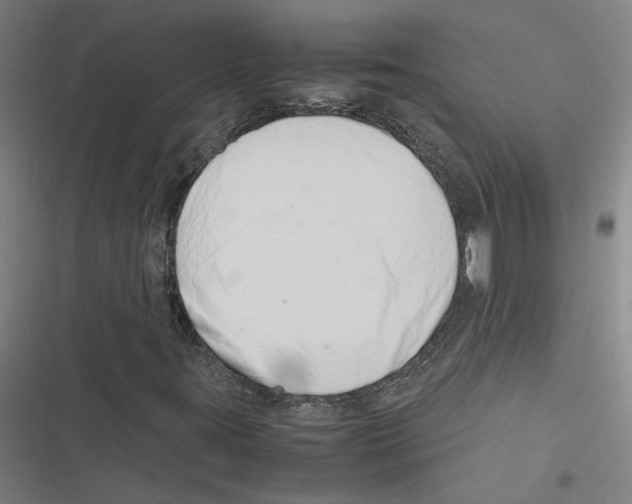 X0000116881395201001191734