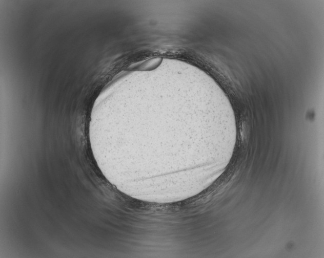 X0000116881396201001191734
