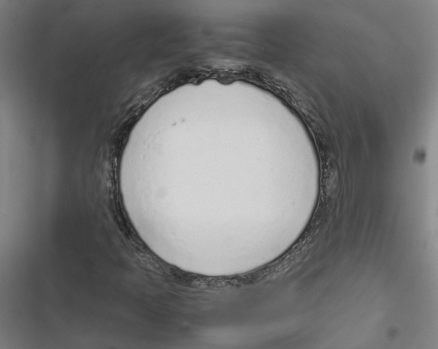 X0000116881397201001191734