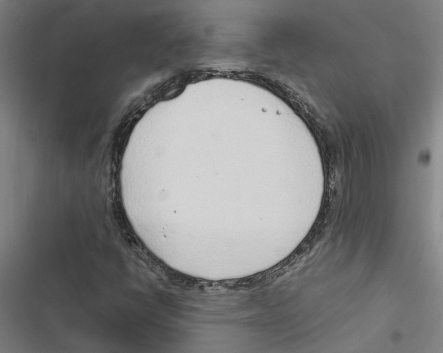 X0000116881398201001191734