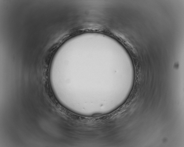 X0000116881399201001191734