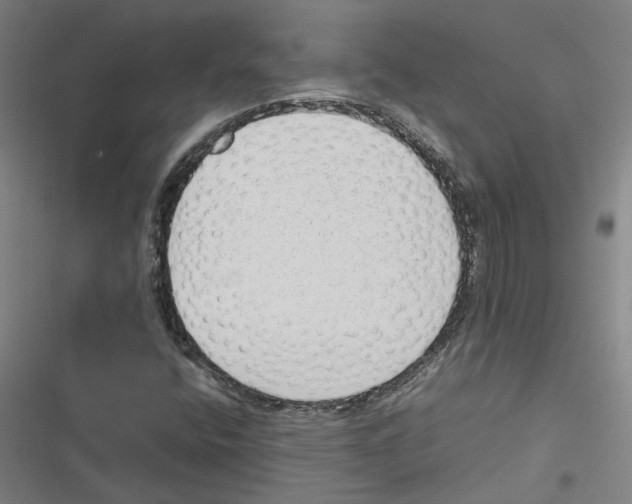 X0000116881400201001191734
