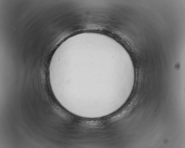 X0000116881401201001191734