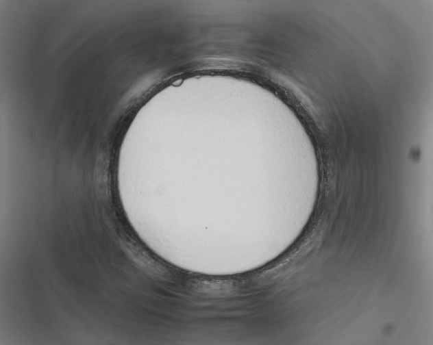 X0000116881403201001191734