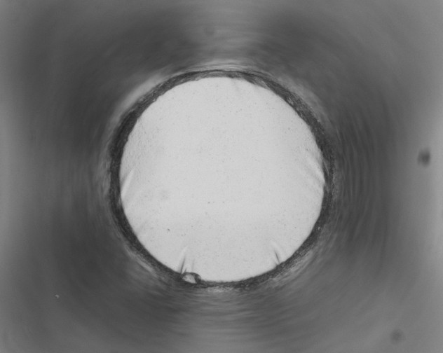 X0000116881406201001191734